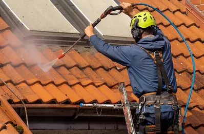 Démoussage et hydrofuge de toiture à Saint-Martin-la-Plaine